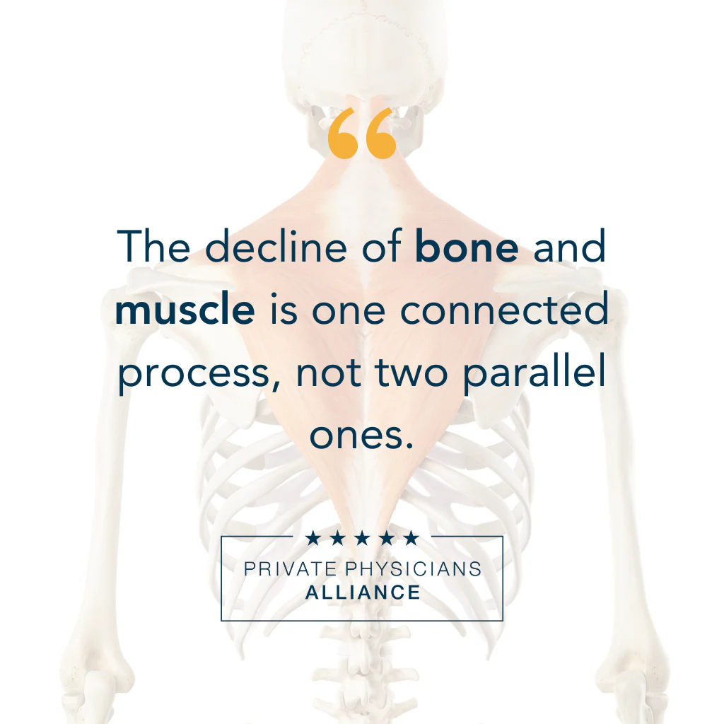 The decline of bone and muscle is one connected process, not two parallel ones, shown over an anatomical illustration of the upper-back muscles and skeleton.